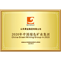 山东黄金集团有限公司